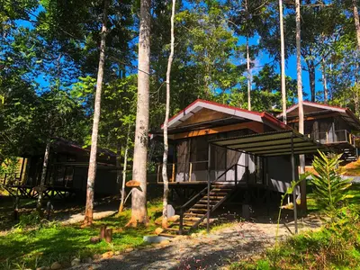 a small cabin in the woods with trees at The Elements Costa Rica Nature Lodges in Platanillo