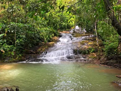 a waterfall in the middle of a stream in a forest at The Elements Costa Rica Nature Lodges in Platanillo