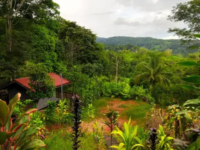 a house in the middle of a forest with a field at The Elements Costa Rica Nature Lodges in Platanillo