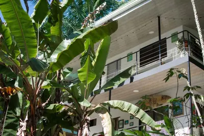 a building with a bunch of banana trees in front of it at Leidy Mar Apartments in Santa Teresa Beach