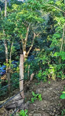a fence in front of a forest with trees at Landscape-Cabaña Summer-Full Equipada in La Cruz