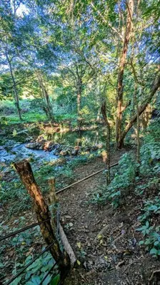 a painting of a fence in a forest at Landscape-Cabaña Summer-Full Equipada in La Cruz
