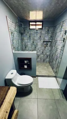 a bathroom with a toilet and a shower at 1968house in Monteverde Costa Rica