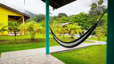 a hammock in a park with palm trees at Villa El Tucán in Bijagua