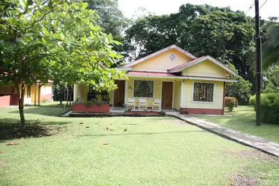 a small yellow house with a tree in the yard at Casa Amarilla San Carlos in Venecia
