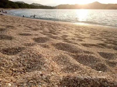 a beach with rocks on it with people in the water at Cozy Cottage Hilltop near Conchal - Casa Vala in Matapalo