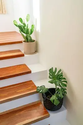 two potted plants are sitting on the stairs at Hermosa Palms, Casa Lorenzo Beach Front Club House in Playa Hermosa