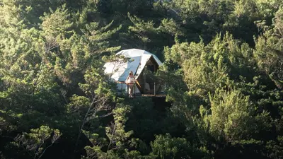 a person standing in a tent in the middle of a forest at NATURAVE - Into the woods - Mountain cabins in Monteverde Costa Rica