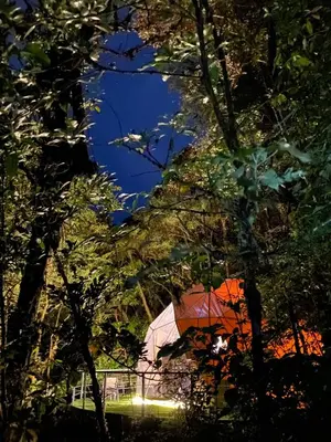 a view of a tent through the trees at night at Way To Heaven Glamping in Monteverde Costa Rica