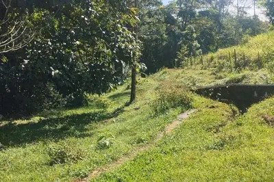 a dirt road in a grassy field with trees at Cala-Ranch Suites - Dream in Quesada
