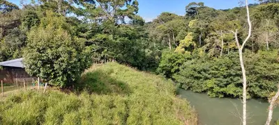 a river in the middle of a forest at Cala-Ranch Suites - Dream in Quesada