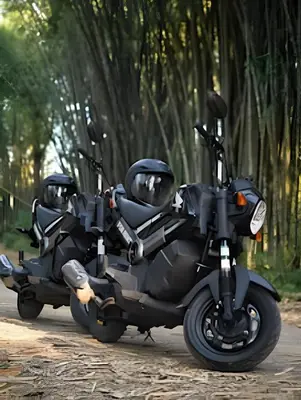 two motorcycles parked next to each other on a road at The Jungle Inn in Dominicalito