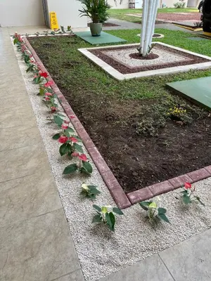 a garden with red flowers in the ground at The Palms Ocean Club Resort in Jacó