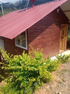 Gallery image of Mario's Lodge Providencia in El Copey