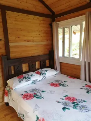 Gallery image of Mario's Lodge Providencia in El Copey