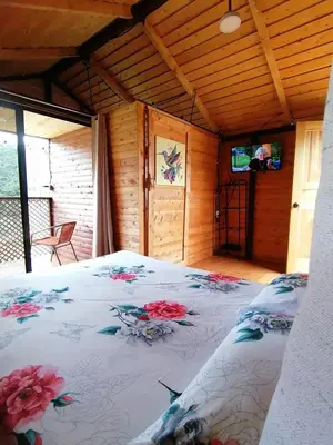 Gallery image of Mario's Lodge Providencia in El Copey