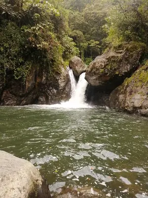 Gallery image of Mario's Lodge Providencia in El Copey