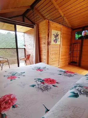 Gallery image of Mario's Lodge Providencia in El Copey