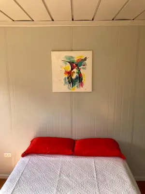 Gallery image of Mario's Lodge Providencia in El Copey
