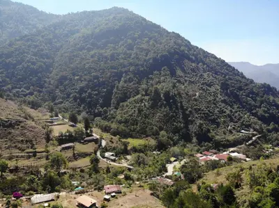 Gallery image of Mario's Lodge Providencia in El Copey