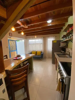 a kitchen with a counter and a stove top oven at Villas Flakis, Vela in Monteverde Costa Rica