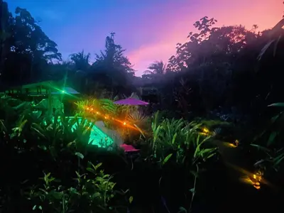 a view of a garden at night with lights at Casitas Del Rio Riverfront Nature Lodge in Uvita