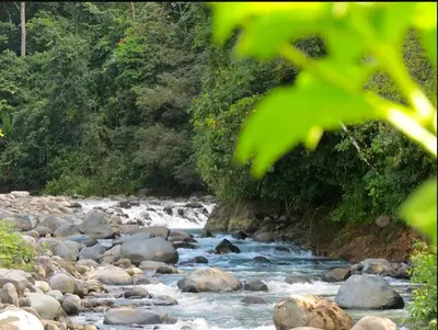 a river with rocks and trees in the background at Casitas Del Rio Riverfront Nature Lodge in Uvita