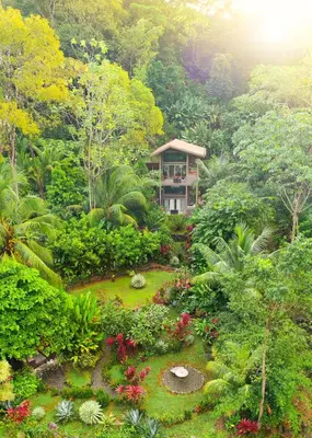 a garden in front of a building in a forest at Casitas Del Rio Riverfront Nature Lodge in Uvita