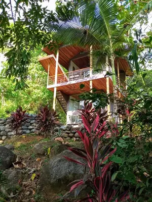 a house in the middle of a forest at Casitas Del Rio Riverfront Nature Lodge in Uvita