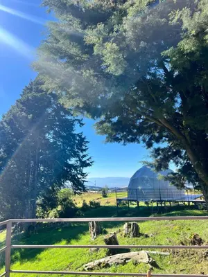 a view of a field with a barn and a tree at Green Noise Glamping in Fraijanes