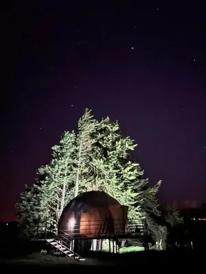 a large tree with a dome in front of it at Green Noise Glamping in Fraijanes