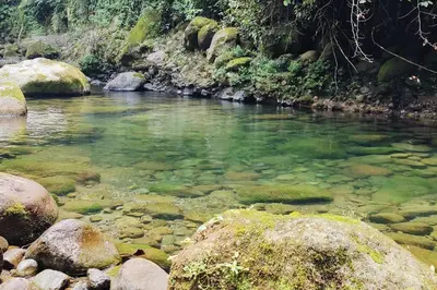 a river with rocks and green water and trees at Casa Arthémis - Rainforest Lodge in Guápiles