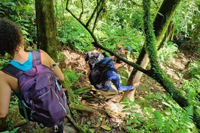 a group of people on a trail in the woods at Casa Arthémis - Rainforest Lodge in Guápiles