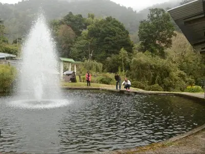 a fountain in a pond with people walking around it at Cabaña Tangara in San Gerardo de Dota