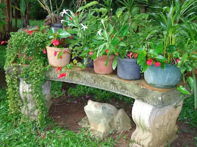 a bunch of potted plants on a stone bench at Quinta Don Fernando in La Garita