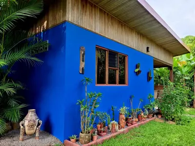 a blue house with plants in front of it at Quinta Don Fernando in La Garita