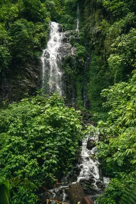 a waterfall in the middle of a forest at Finca Aquarius in Monteverde Costa Rica