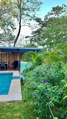 a house with a swimming pool and some flowers at Z orro Tropical in Arbolito