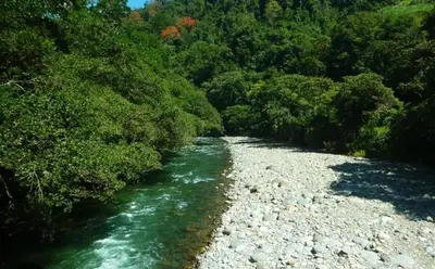 a river with rocks and trees on the side at Cabaña Dream House in Pejibaye