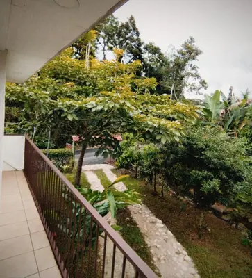a balcony with a fence and a tree at Cabaña Dream House in Pejibaye