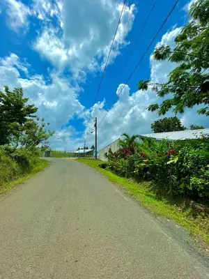 an empty road under a blue sky with clouds at Cabañas el Bosque del Arenal in Guayabal