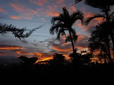 a sunset with a palm tree in the foreground at Cabañas el Bosque del Arenal in Guayabal