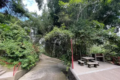a picnic table and benches in a park with trees at 2BR Eco Condo 1 AC 5MINS to Medical Center in Quepos