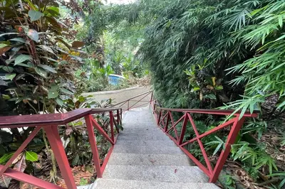a red bridge over a path in a garden at 2BR EcoCondo 2 Terrace wildlife visits in Quepos