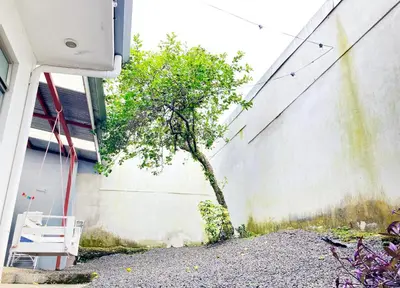 a tree growing in the side of a building at Casa Matiza, 7 min SJO airport, free parking, AC in Santiago Este