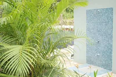 a large green plant in front of a building at Casa Mari Black Stallion in Tamarindo