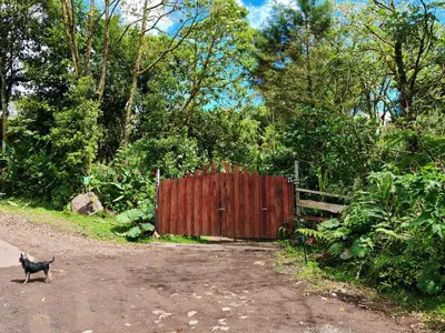 a cat walking down a dirt road next to a wooden gate at Tipi Bribri in Heredia