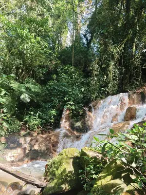 a waterfall in the middle of a forest at Tipi Bribri in Heredia