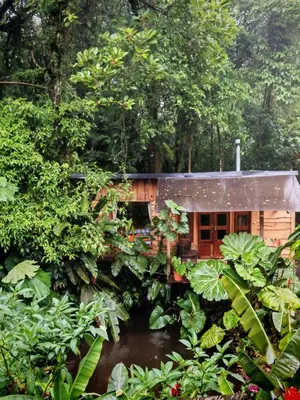 a cabin in the middle of a forest at Tipi Bribri in Heredia