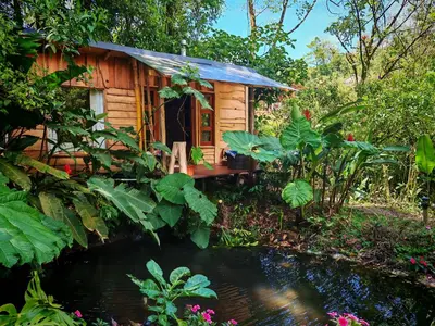a small wooden cabin with a pond in front of it at Tipi Bribri in Heredia